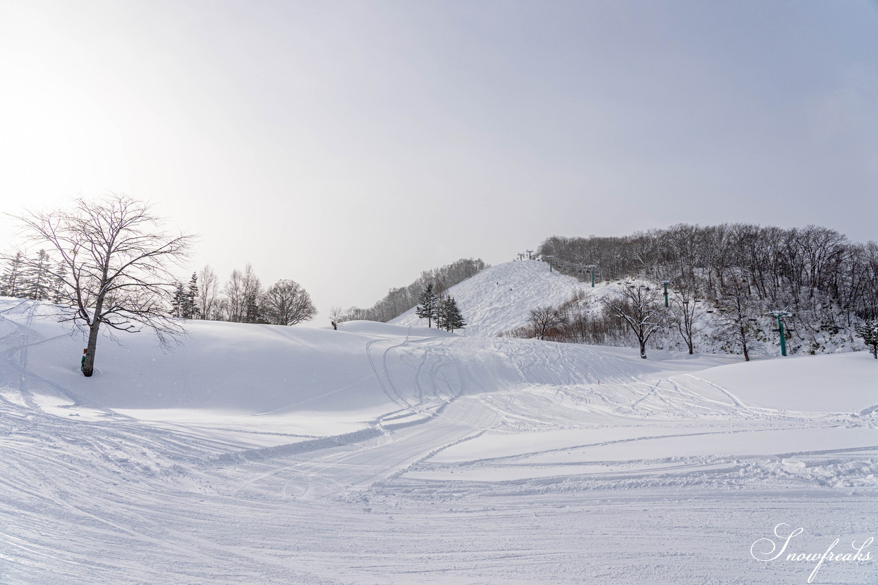 朝里川温泉スキー場　NEWイエローリフト運行開始。そして、新コースも開放間近…。今、北海道で一番“HOT”なスキー場は『ASARI』です！